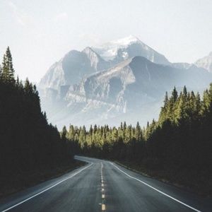 Meet your Posher, Janine